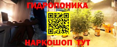 кокс Славгород