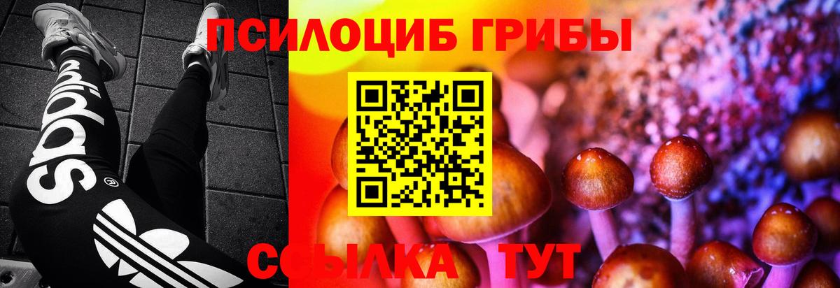 Галлюциногенные грибы прущие грибы Приморско-Ахтарск